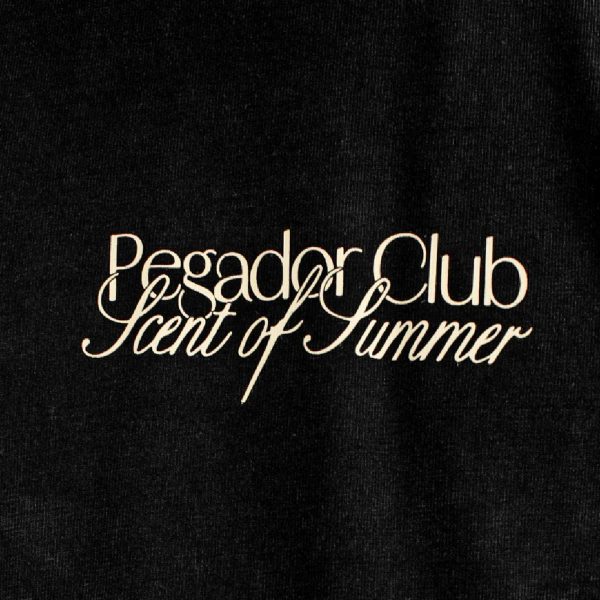 Pegador Ramon Oversized T-Shirt - Vintage Black PGDR-5065-065 - schwarz Schn?ppchen – Bild 3